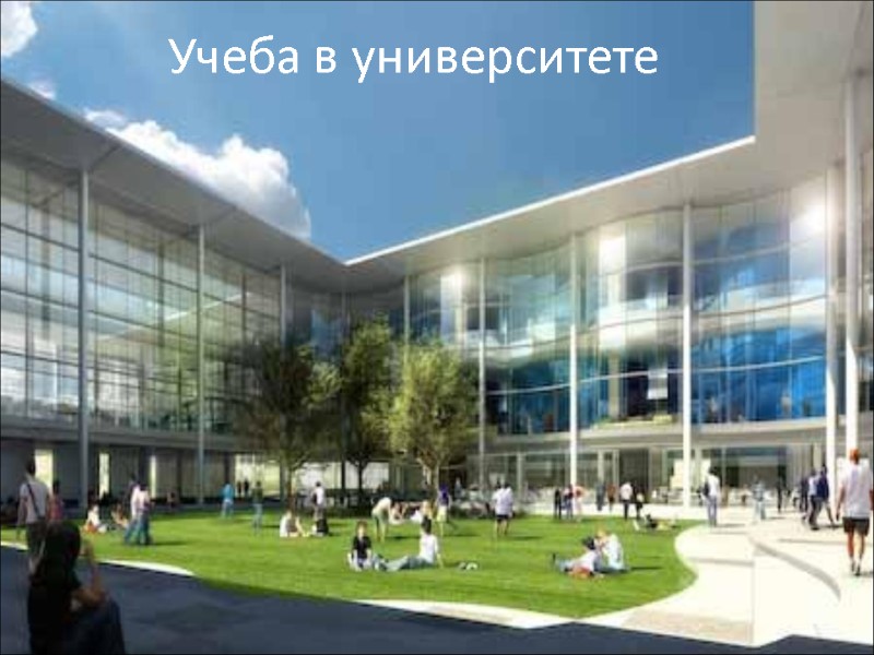 Учеба в университете